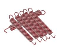 AKOOSY 6Pcs Tremolo Springs Electric Guitar Bridge Replacement Parts Metal Easy to Install Portable for Guitar Tremolo System