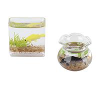 Akozon 2pcs 1:12 Scale Realistic Miniature Fish Bowls Dollhouse Accessories Fish Tanks for
