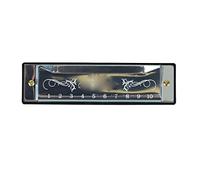 Akozon Blues Harmonica Beginners - Harmonica 10 Hole 20 Tune C Key Professional Standard Mouth with Kids, Adults, and Students (Silver)