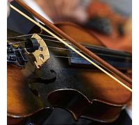 Akozon Item Title 4 In 1 Violin Accessories Kit Strings Rubber Mute Maple Wood Bridge Cleaning Clothkey Words Set Cloth Professional Stringsfeatures Crafted From St