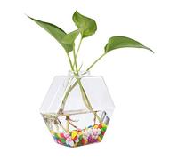 Akozon Transparent Hanging Wall Vase - Modern Wall Decor for Indoor Plants - Unique Floating Flower Holder for Home, Office, or Garden - Glass Wall Planter for Succulents and