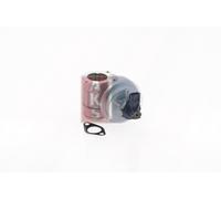 AKS DASIS 095029N EGR valve