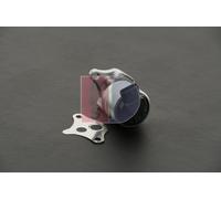 AKS DASIS 155022N EGR valve