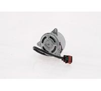AKS DASIS 168062N Electric Motor, radiator fan