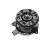 AKS DASIS 188029N Electric Motor, radiator fan