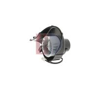 AKS DASIS 398101N Interior Blower