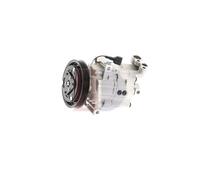 AKS DASIS 850396N Air conditioning compressor