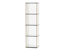 Aktenpack shelf module Tojo