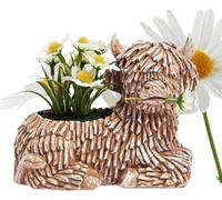AKV Highland Cow Planter, Resin Succulent Pot, 6.3 Inch, Both Indoor & Outdoor, Cute Scottish Highland Cow Decor