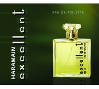 Excellent spray 100ml for men by al haramain-woody-attar ittar