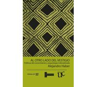 Al otro lado del vestigio : Politicas del conocimiento y arqueologia indisciplinada