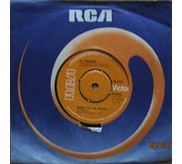 AL STEWART- 7"Single -Song On The Radio/A Man For All Seasons,EX+