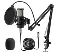 ALABS XLR Condenser Microphone, Professional Cardioid Recording Microphone Kit with 25mm Diaphragm for Streaming, Podcasting, Singing, Vocal, Studio Mic with Boom Arm, Shock Mount, Pop Filter (AC22)