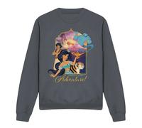 Aladdin Jasmine, Abu, Rajah, Genie Are Ready For Adventure Sweatshirt Charcoal | Size: Small Aladdin Charcoal S
