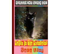 Aladdin The Black Cat: Magic In The Mountains: 14