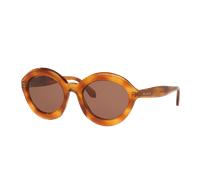 Alaia Woman Sunglass AA0088S - Frame color: Tortoise, Lens color: Brown