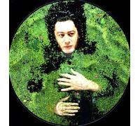 Alain Bashung - Fantaisie Militaire [VINYL]