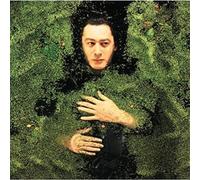 Alain Bashung - Fantaisie Militaire [VINYL]