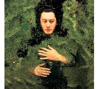 Alain Bashung - Fantaisie Miltaire