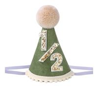 Alainzeo Half Birthday Hat Adjustable 6 Months Milestone Baby Cone Hat for Photo Shooting 1/2 Party Hat Outfit for Girls Boys Green Newborn