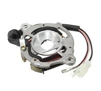 Alamor Stator Ignition Magneto Coil Assembly For Yamaha Pw50 Pw 50 Qt50
