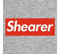 Alan Shearer Red Logo Kids T-Shirt - Gray / 5-6 years
