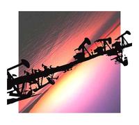 Alan Silva, Noah Rosen - O.I.l. (Orchestrated Improvised Lives)