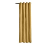 Alan Symonds Fleece Lined Velvet Chenille Door Curtain 137cm x 213cm
