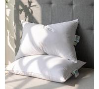 Alanzimo Goose Feathers Down Pillows Standard/Queen Size Set of 2, Luxury Soft Feather Down Pillow for Sleeping, 100% Cotton Cover Hotel Collection Bed Pillows for Back, Stomach or Side Sleepers20x28