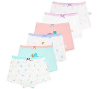 Alaoo Girls Knickers, 6 Pack Boxer Briefs Underpants for Girls, Essential Elastic Comfortable Soft Cotton Pants Cartoon for Age 2-3 Years, B