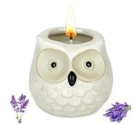 Alaoo Scented Candles, Enchanting Owl Scented Candle Gifts for Her, Lavender Luxurious Aromatherapy Candles for Mother's Day, Christmas, Birthday, Valentine's Day, Bathroom, Yoga, White