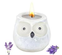 Alaoo Scented Candles, Enchanting Owl Scented Candle, Lavender Luxurious Aromatherapy Candles for Mother's Day, Christmas, Birthday, Valentine's Day, Bathroom, Yoga, White