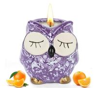 Alaoo Scented Candles, Enchanting Owl Scented Candle, Luxurious Sweet Orange Aromatherapy Candles for Mother's Day, Christmas, Birthday, Valentine's Day, Bathroom, Yoga, Purple