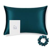 ALASKA BEAR 100% Mulberry Silk Pillowcase, 50x66 cm, Both Sides Silk Hypoallergenic Pillow Case Cover for Hair and Skin Wellness with Hidden Zipper (1pc, Turquoise)