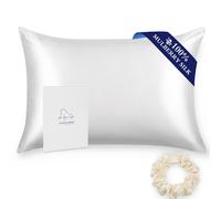 ALASKA BEAR - 100% Silk Pillowcase Both Sides with 19 Momme Mulberry Silk, 600 Thread Count, Hypoallergenic Pillow Shams Cover for Skin Health, 50x66 cm with Hidden Zipper (1pc, White)