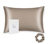 ALASKA BEAR - 100% Silk Pillowcase Both Sides with 19 Momme Mulberry Silk, 600 Thread Count, Hypoallergenic Pillow Shams Cover for Skin Health, 50x66 cm with Hidden Zipper (1pc, Taupe)