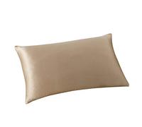 ALASKA BEAR - 100% Silk Pillowcase Both Sides with 19 Momme Mulberry Silk, 600 Thread Count, Hypoallergenic Pillow Shams Cover for Skin Health, 50x66 cm with Hidden Zipper (1pc, Light Coffee)