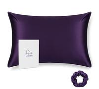 ALASKA BEAR - Natural Silk Pillowcase, Hypoallergenic, 19 momme, 600 thread count 100 percent Mulberry Silk, Standard Size 50x75 cm with hidden zipper(Dark Purple)
