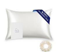 ALASKA BEAR - Natural Silk Pillowcase, Hypoallergenic, 19 momme, 600 thread count 100 percent Mulberry Silk, 50x66 cm with hidden zipper(1pc, Ivory White)