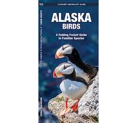 Alaska Birds: A Folding Pocket Guide to Familiar Species (A Pocket Naturalist Guide) (Pocket Naturalist Guide Series)