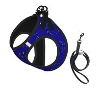 Alaska State Flag Pet Leash Vest For Small Dogs Cats Reflective Adjustable Soft Outdoor Walking Hiking Training