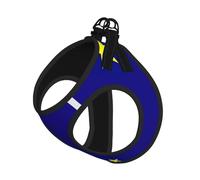 Alaska State Flag Print Adjustable Reflective Harness Leash Set For Cats, Dogs And Small Pets, Soft Breathable Mesh Walking Vest With Escape-Proof Lead