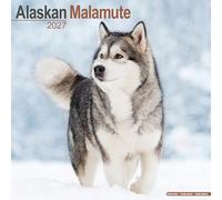 Alaskan Malamute 2027 Calendar | Square Wall Calendar | Dog Breed Gift | Plastic Free Packaging | by Avonside Publishing
