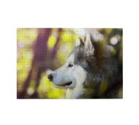 Alaskan Malamute Bokeh Pets Dogs Cute,1000 Pieces Wooden Jigsaw Family Game Jigsaw Puzzles for Adults Teens Home Decor