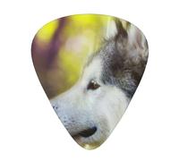 Alaskan Malamute Bokeh Pets Dogs Cute,12 Pcs Guitar Pick,3 Different Thickness Plectrums for Acoustic Guitar Bass Ukulele (0.46mm 0.96mm 0.71mm)