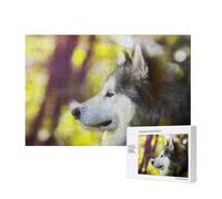 Alaskan Malamute Bokeh Pets Dogs Cute,300 Pieces Wooden Jigsaw Family Game Jigsaw Puzzles for Adults Teens Home Decor