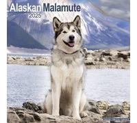 Alaskan Malamute Calendar 2025 Square Dog Breed Wall Calendar - 16 Month 978180