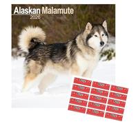 Alaskan Malamute Calendar 2026 | Square Dog Breed Wall Calendar | 16 Month | With Free Organisational Stickers