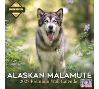 Alaskan Malamute Calendar 2027 16 Month Wall Calendar 2026 2027