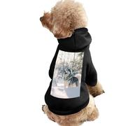Alaskan Malamute Dog Winter Sun Cute Dog And Cat Clothes Pet Hoodie Sweatshirt Pullover Sweater Coat